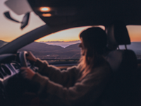 Employee Driving Licence Checks