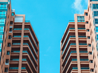 Letting Agency Checks and Fraud