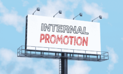 DBS Checks and Internal Promotions: When a New Check Is Required